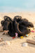 Oversized Organza Scrunchie with Charms - Black